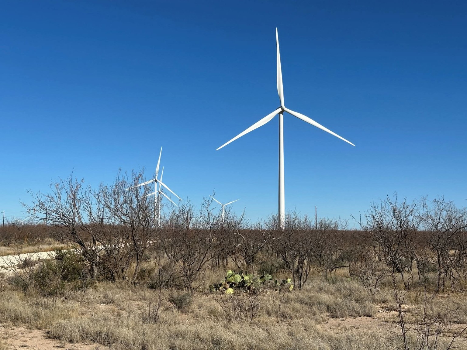 Wind energy in the landscape